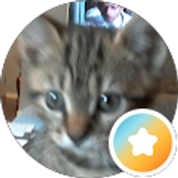 Profile photo of terri sullivan