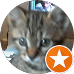 Profile photo of terri sullivan