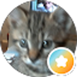 Profile photo of terri sullivan