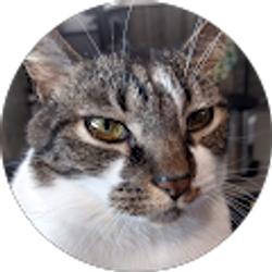 Profile photo of Bonnie Cary