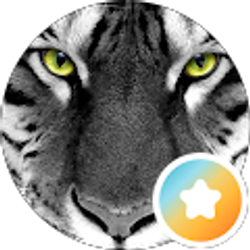 Profile photo of S S