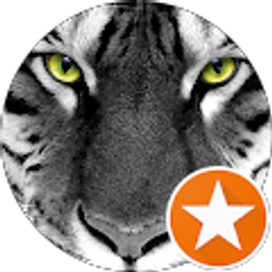 Profile photo of S S