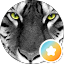 Profile photo of S S