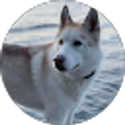 Profile photo of Aaron Ruter