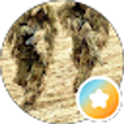 Profile photo of Tony Paolone