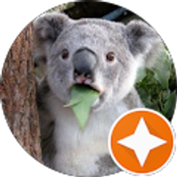 Profile photo of Bill K Lee