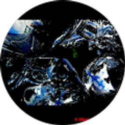 Profile photo of Marcus Marino