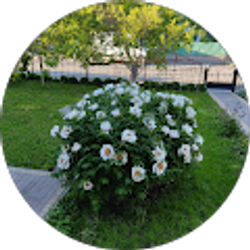 Profile photo of Галя