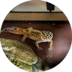 Profile photo of Logan Trupke