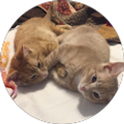 Profile photo of Rylie Bauer