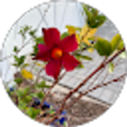 Profile photo of Lia De La Torre