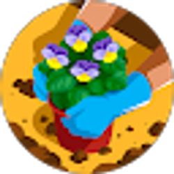 Profile photo of Ginny Combs