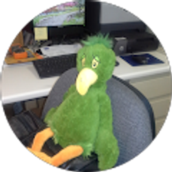 Profile photo of P. Slupik