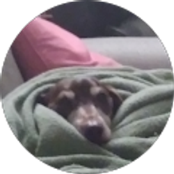 Profile photo of Kate Ribovich