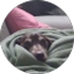 Profile photo of Kate Ribovich