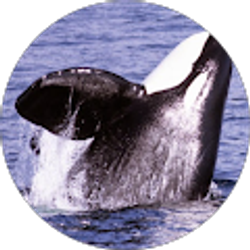 Profile photo of Blaise R