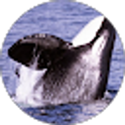 Profile photo of Blaise R
