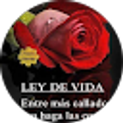 Profile photo of Odalys de la Vega