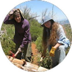 Profile photo of Susan McNabb-Russo