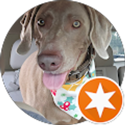 Profile photo of Pete Feeney