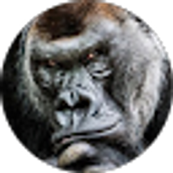 Profile photo of Alejandro Velasco 1.0