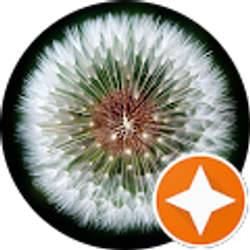 Profile photo of Rachel Kitzan