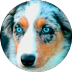 Profile photo of J Henderson