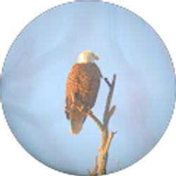 Profile photo of Jay Cee