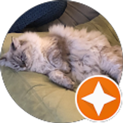 Profile photo of Brian