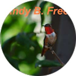 Profile photo of Andrew Free