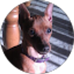 Profile photo of Kimberly Sisson