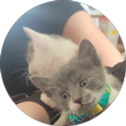 Profile photo of william