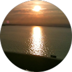 Profile photo of T W (T)