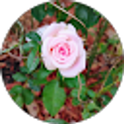 Profile photo of Bonnie Gillis