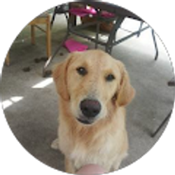 Profile photo of Nevaeh South