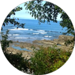 Profile photo of Jo Voell