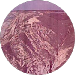 Profile photo of michaeljenovic