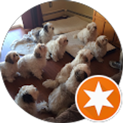 Profile photo of Evelyn Bradley