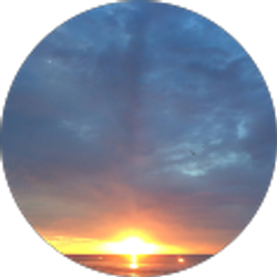 Profile photo of Michael Perullo