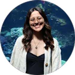 Profile photo of Michelle Echeverria