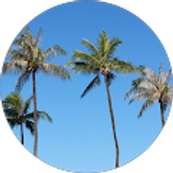 Profile photo of Candice Disanza