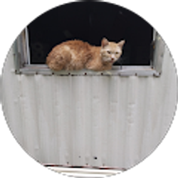 Profile photo of Joe Winston