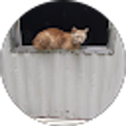 Profile photo of Joe Winston