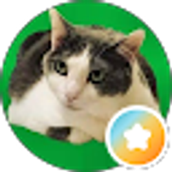 Profile photo of Tully Archer
