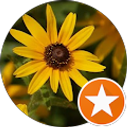 Profile photo of Susan Ziegler-Ellis