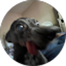 Profile photo of Sara Guerra