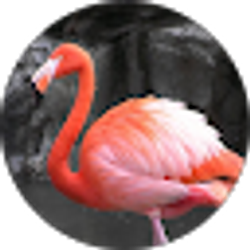 Profile photo of Jenn Brown