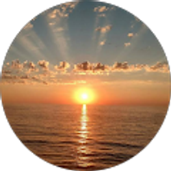 Profile photo of Robert Warner