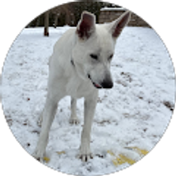 Profile photo of Jordan Margie