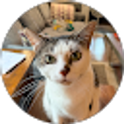 Profile photo of Tabitha Haggerty